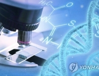 헤드라인 기사 이미지